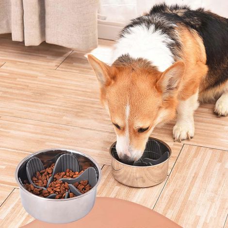 Insert pour gamelle anti-glouton sûre et saine pour chien - Insert à ventouse puissante (1/4)