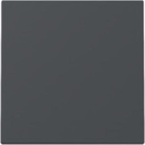 Gira WIPPE SYSTEM 55 ANTHRAZIT (329628 SYSTEM 55) (1/5)