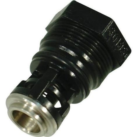 Ventil AR202 AR252 ANNOVI REVERBERI 809060