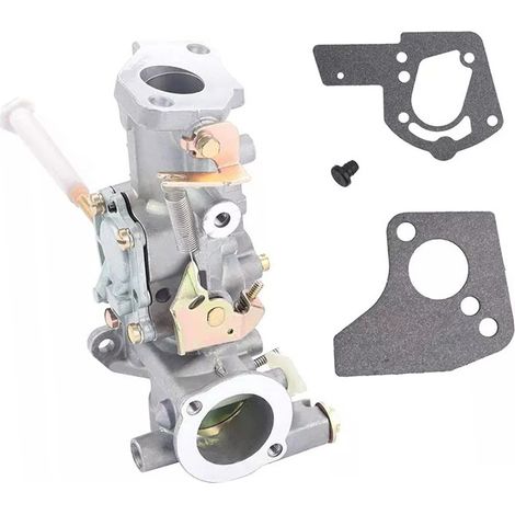 Carburateur pour Briggs & Stratton 495459 495460 499952 499953 (5 CV)