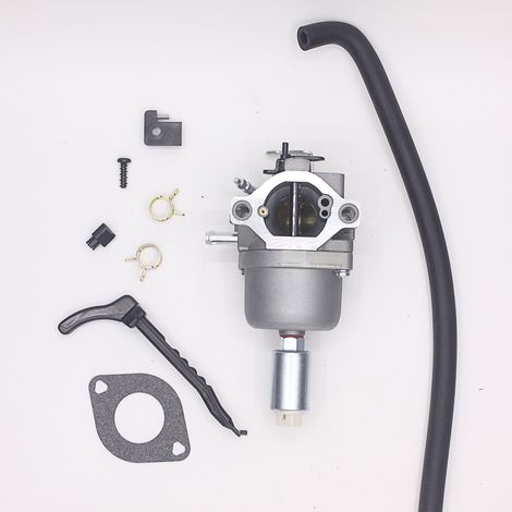Le carburateur H813 convient aux BRIGGS & STRATTON TYPE 799727 698620 (1/5)