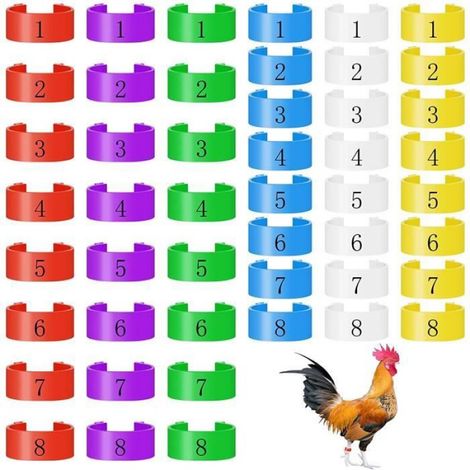 48 Pièces Anneau de Pied de Poulet Bague Poule pour Poulet, Canard, Goose,16mm et 20mm(Diamètre intérieur) (1/4)