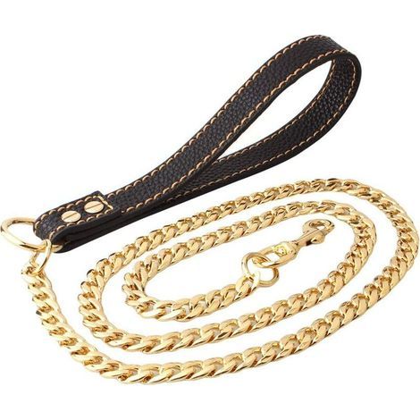 Correa para perros de metal color oro con asa de cuero dorado (1/5)