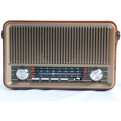 Tragbares Multiband-Radio FMAM, manuelles tragbares FM-Bluetooth-Plug-in-Radio