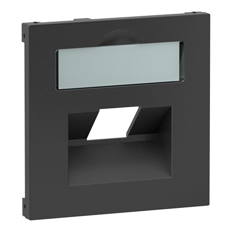 LEGRAND, SEANO 765458 CACHE 1 X RJ45 POUR BOÎTES DE DONNÉES DE METZ, TELEGÄRTNER ET CANNE, AVEC CHAMP D'INSCRIPTION, COULEUR : A