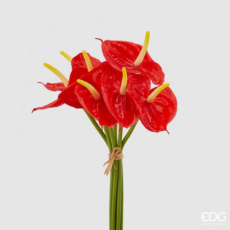 EDG Enzo De Gasperi Anturium Chic Bouquet H 37 Cm 7 Pz Coral