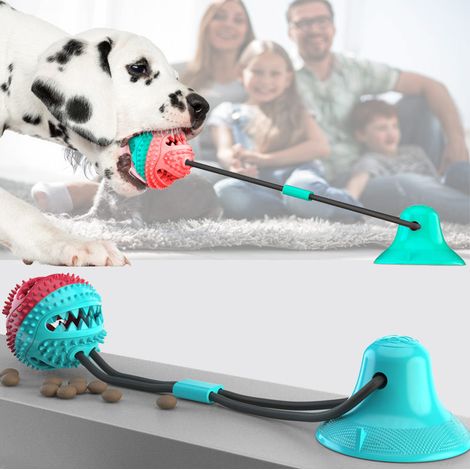 Accessoires pour animaux, distributeurs de croquettes pour la dentition, balles à mâcher résistantes, jouets pour chiens à ventouses (1/2)