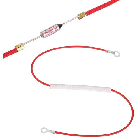 Fusible Thermique Universel Pour Cuiseur À Riz, 165°C 10A 250V Fusible Thermique Métallique Avec Bornes À Anneaux Aux Deux Extrémités Et Gainage En Fibre De Verre (1/5)