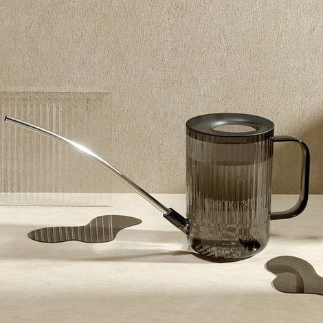 Arrosoir à long bec Acier inoxydable Gris étoilé 1L avec graduations Design moderne pour plantes d'intérieur et succulentes (1/5)