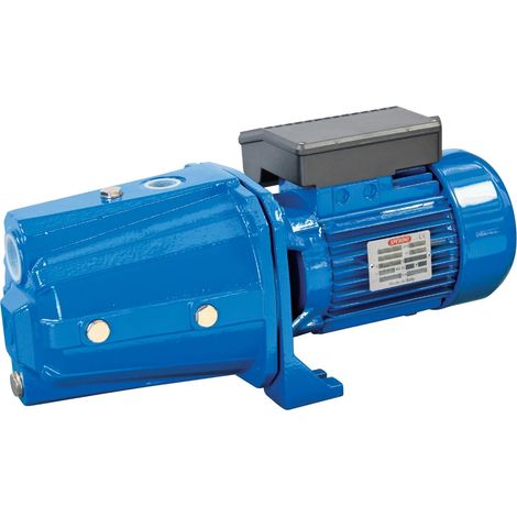SPERONI CAM202 2 HP 1,5 KW Monofase Elettropompa Autoadescante Pompa