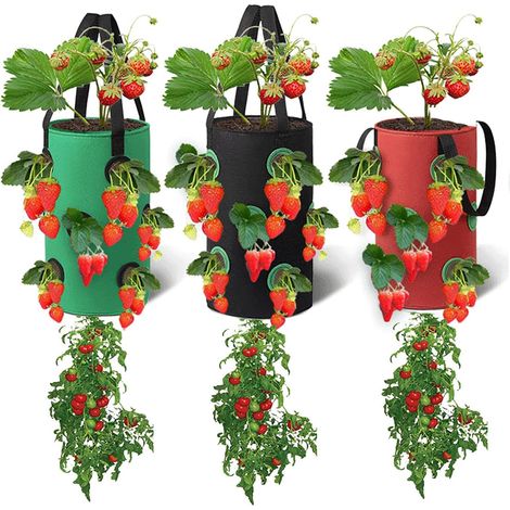 Rnemitery – Lot de 3 sacs de culture suspendus 20x35cm – Tissus non tissés avec 12 poches respirantes – Pour fraises, herbes, fleurs, légumes - 20cm35cm