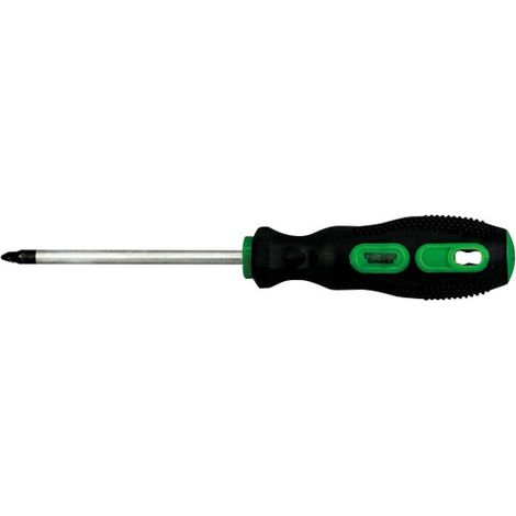 Tournevis Pozidriv Pz2 6.0 X 100 Mm - Fischer Darex