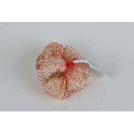 Vilmorin Ail Messidrome - 500 g (1/2)