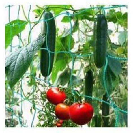 Weitmaschiges Ranknetz für eine gute Ernte von Gurken, Tomaten und anderem Gemüse sowie Kletterpflanzen – Abmessungen: 1,827 m
