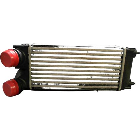 Echangeur Air CITROEN C4 [PRODUIT D'OCCASION]♻️0384l4 (1/2)
