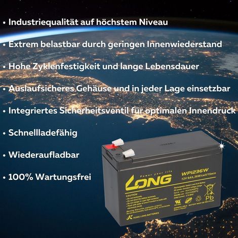 Ersatzakku für APC SU DP6000 / SU DP6000i (Hochstrom) (1/5)