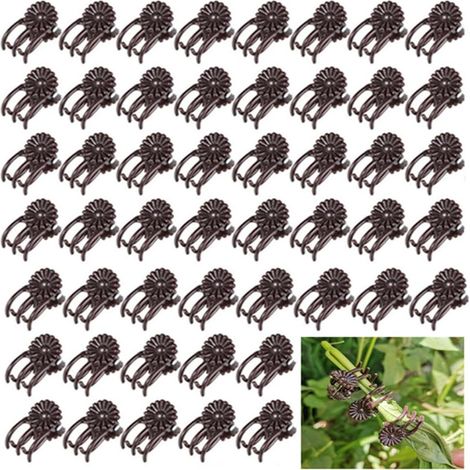 Lot de 50 Pinces à Orchidées Réutilisables Supports de Fixation Vert Foncé pour Plantes,Pince Jardinage pour Tuteur, Fruits et Légumes (1/5)