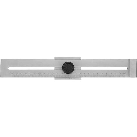 Trusquin de Traçage Métal, 0-250mm Plage de Mesure Jauge de marquage en Acier au Carbone Outils de Mesure pour le Travail du Bois, Trusquin de Menuisier (1/5)
