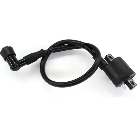Bobines d'allumage pour Quads Raptor 350 YFM350 de 2004 à 2011 (1/5)
