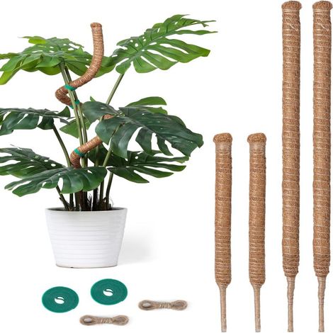 4 tuteurs en mousse pour Monstera, 2 paquets de 71 cm et 2 paquets de 122 cm, tuteurs flexibles pour plantes grimpantes d'intérieur, treillis en mousse haute pour plantes grimpantes en pot (1/5)