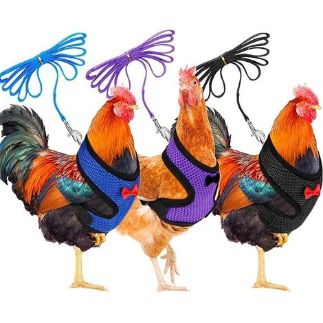 1 pièce Harnais réglable pour volaille avec longe, adapté aux poulets, canards et oies. Gilet pour poulet en maille confortable et respirant, Bleu - taille M (1/5)