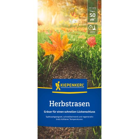 Kiepenkerl Saatgut Kiepenkerl Herbstrasen 1 kg für ca. 50 m²