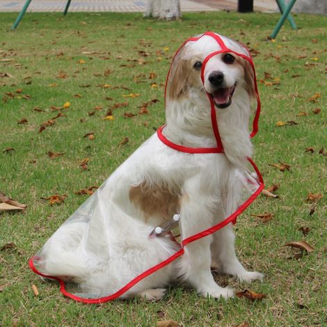 Manteau imperméable pour chien avec capuche en nylon transparent - Pour chiens de petite à moyenne taille (L,rouge)