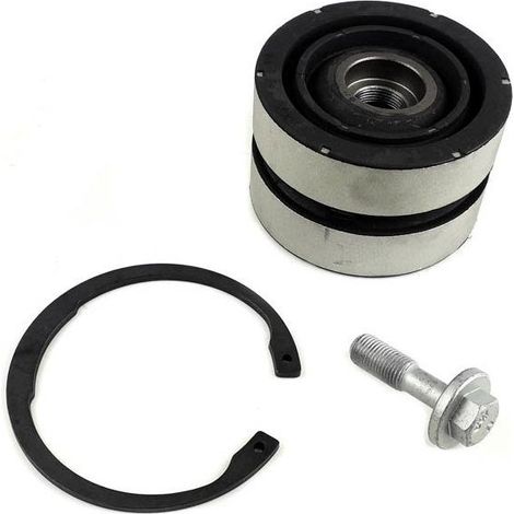 Kit de réparation biellette de barre stabilisatrice DAF  10309400A 1676776 5.91067