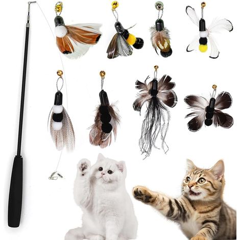 9 PCS Jouet Chat Plume, Jouets pour Chats à Plumes, 1 Rétractable Canne à Pêche Chat Jouet avec 8 Insecte Plumes de Recharges avec Clochettes, Interacti pour l'intérieur Chats et Chatons (1/5)