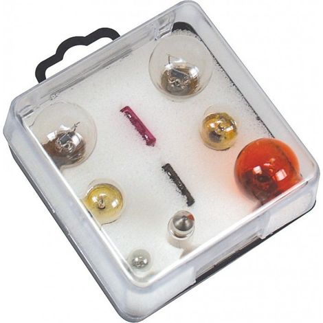 Coffret ampoules pour caravane et remorque - 7 ampoules de rechange - 2 fusibles enfichables de 3A et 7.5A - AUTOBEST