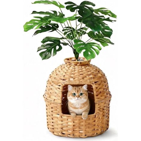 Litière cachée pour Chat - Pot de Fleurs avec Fausse Plante et Pelle - en rotin tressé à la Main - avec contrôle des odeurs et Filtre à Charbon (Naturel, Bonsai Edition 1) (1/5)