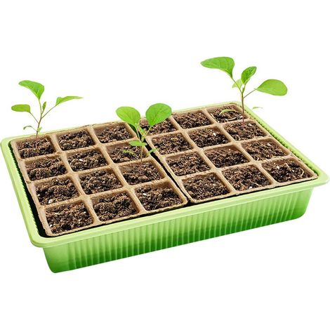 Plateau de semis couvert pièce pot culture en serre intérieure pour jusqu'à plantes la germination et croissance des graines 1 24 (1/5)