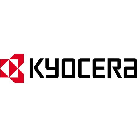 Toner nero originale Kyocera TK-3190, 1 pz. M21732-001, 1T02T60NL1 / 1T02T60NL0