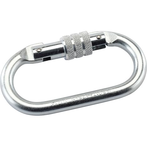 Draper Screw Lock Karabiner 82472 – Heavy-Duty Safety Carabiner for Secure Attachments (1/5)