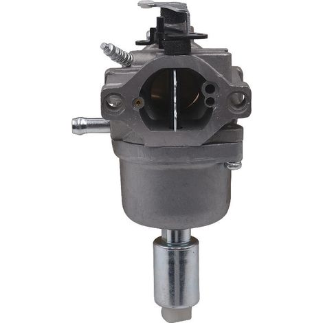 Für Briggs & Stratton 799727 698620 794572 14HP 15HP 16HP 17HP 18HP Rasenmäher Motor Vergaser (1/5)