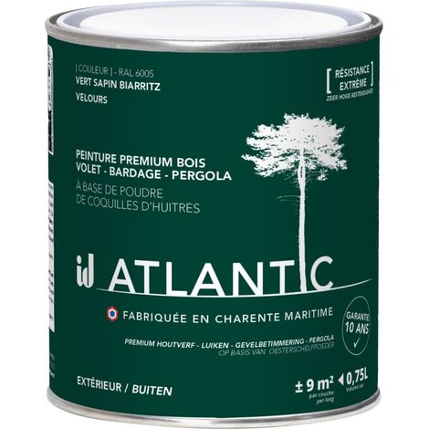Peinture bois extérieurs -RAL 6005 Vert sapin Biarritz - 750ML - ATLANTIC (1/3)