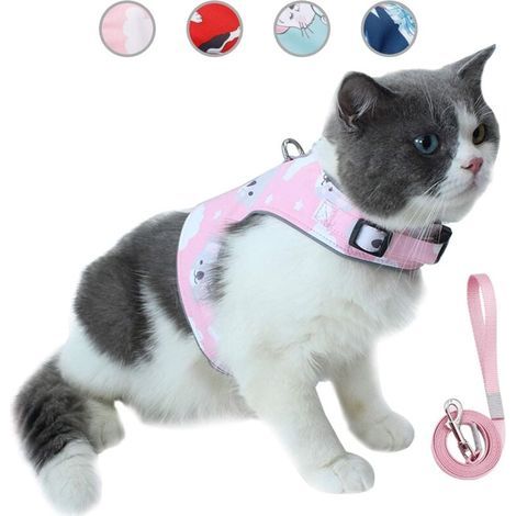 Ensemble laisse et harnais Ulisem pour chat, gilet réglable en maille souple réfléchissante et respirante avec carte anti-perte innovante (XS, rose) (1/4)