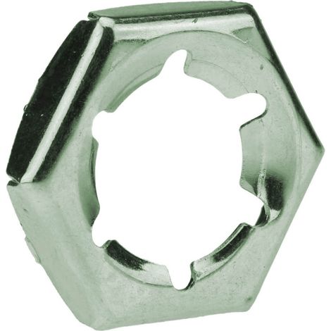 Reidl DIN 7967 Sicherungmuttern (Palmuttern), M 36, Stahl feuerverzinkt (1/2)