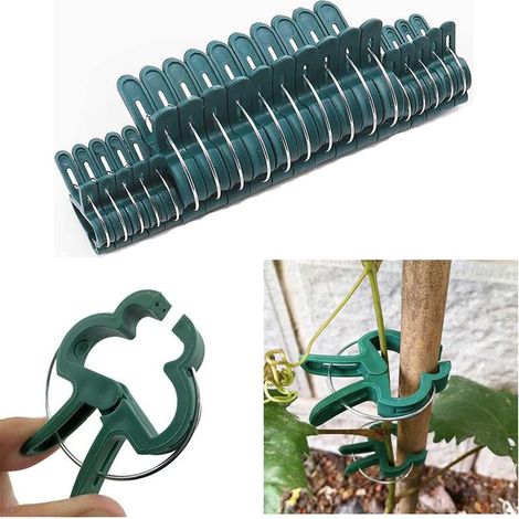 Lot 100 clips fixation plantes grimpantes - Supports de plantation et fixation jardin (1/5)