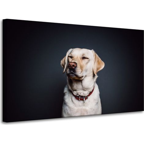Lienzo impreso con diseño de animales: perro, fondo negro, 100 x 60 pulgadas.