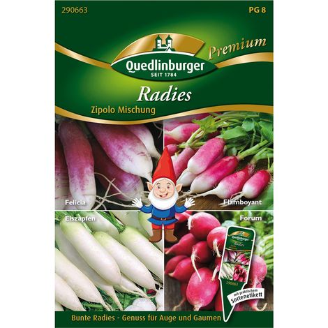 Quedlinburger Saatgut – Radis Zipolo mélange – Graines de légumes, 4 variétés à racines en forme de cône (1/2)