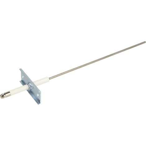 Electrode d'ionisation