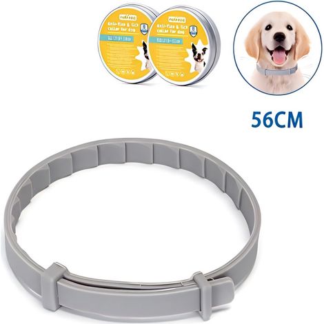Collier anti-puces et tiques pour chiens, lot de 2, protection de 8 mois