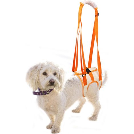 Harnais de Transport pour Chien, Harnais pour Pattes Arrière, Aide à La Marche de Levage Gilet de Traction pour Les Chiens Agés et Blessés, pour Le Dos et La Récupération des Chiens (1/5)