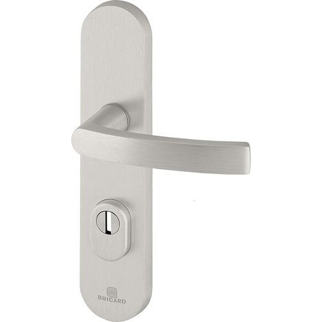 1 - Poignée De Porte Blindée - Plaque De Protection - Cylindre Européen - Anti-perçage Et Anti-arrachage - Pour Porte D&39entrée - Argent - 242x52cm (1/2)