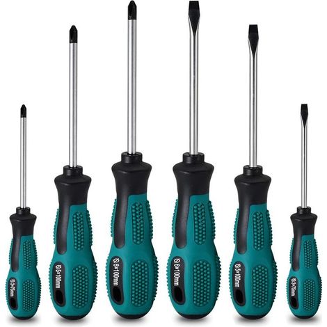 Coffret De 6 Tournevis Magnétiques En Acier Chrome Vanadium 3 Plats Et 3 Cruciformes (1/5)