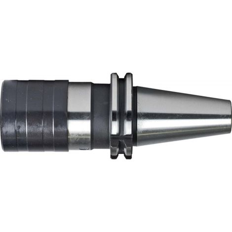 Cambio Rapido Del Mandrino 69871A M3-12 Fortis