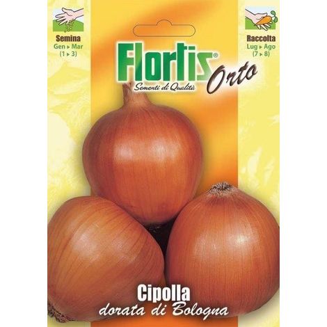 CIPOLLA DORATA DI BOLOGNA
