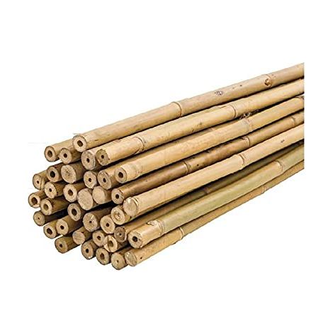 PLANTAWA Canne di Bambù 90 cm 25 Pezzi Ø 10-12 mm Supporto per Piante, Ortaggi, Pomodori e Piante di Pomodoro Supporti per Piante Facili da Installare - Robuste Canne di Bambù per Orto (1/4)