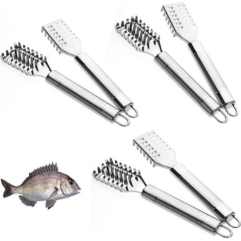 Écailleur À Poissons - Acier Inoxydable - Poignée Antidérapante - Dents Trapézoïdales - Pour Nettoyage Rapide - Lot De 6 (1/5)